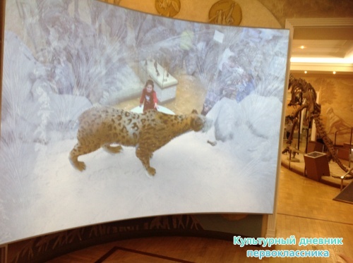 Музей естественной истории16845