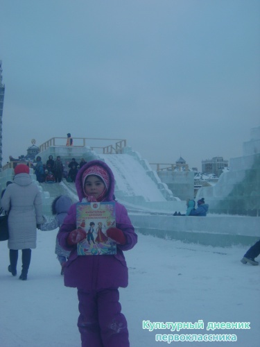 я и дневник17299