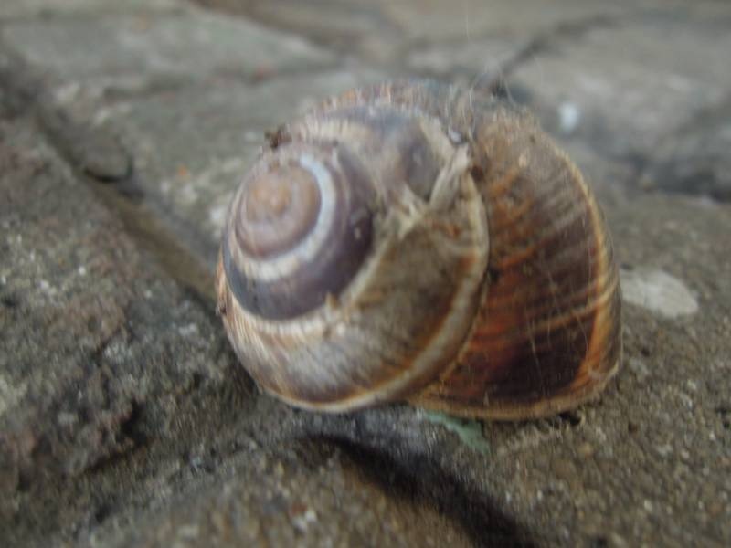 DSCN0658.JPG