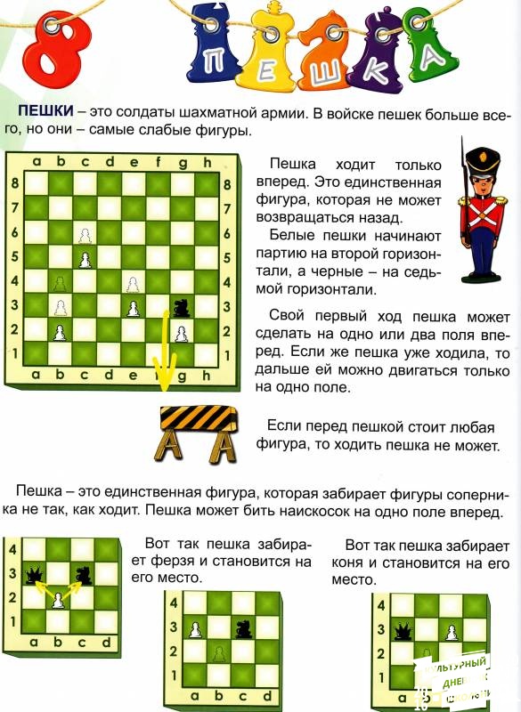 Урок 8 Пешка