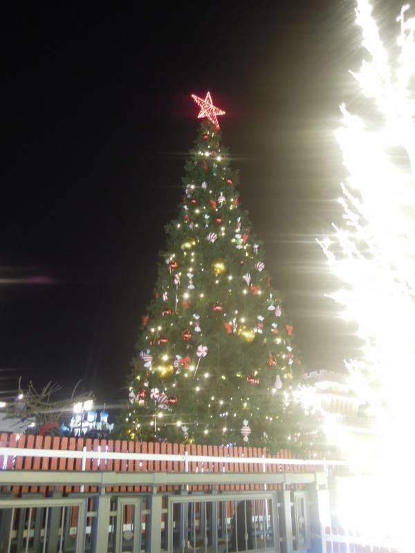 DSCN6763.JPG