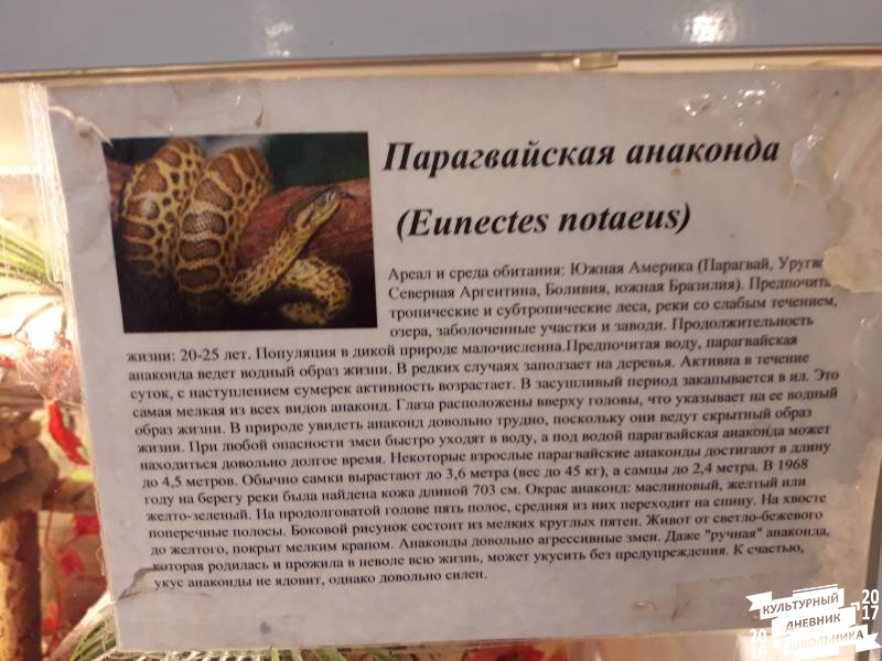 Выставка зоопарк "Живые тропики"60537