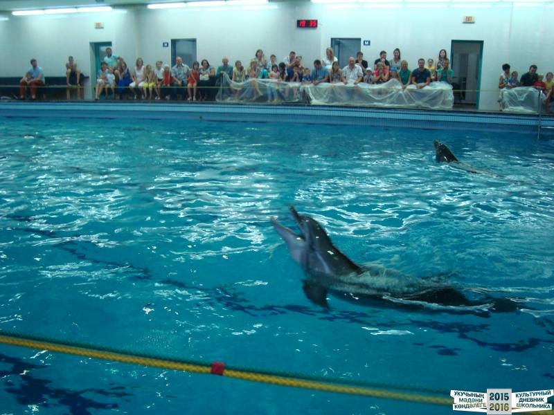 Мои летние путешествия!39631