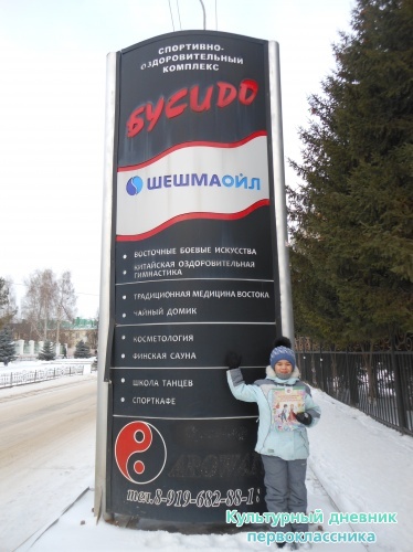 Мой дневник всегда со мной!9587