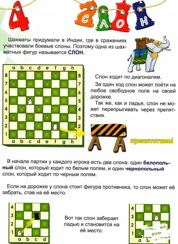 Урок 4 Слон