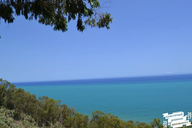 DSC_0220.JPG