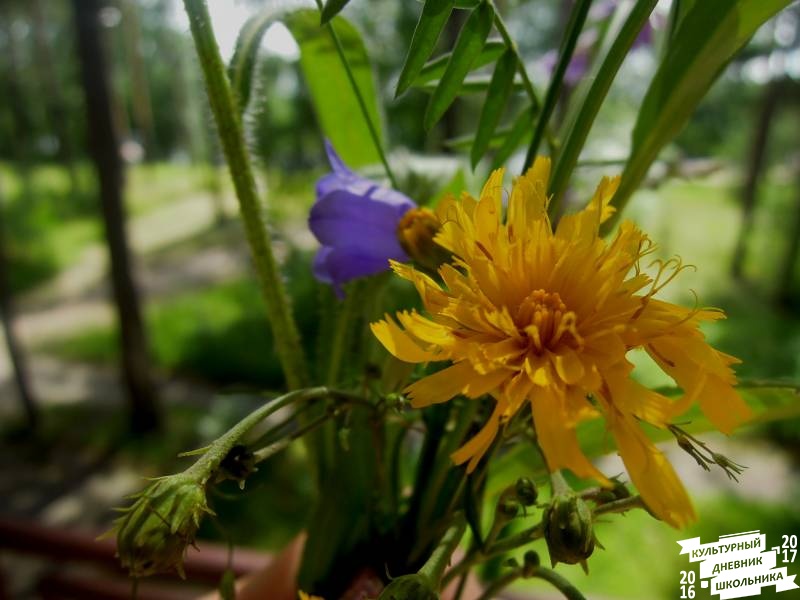 DSCN0390.JPG