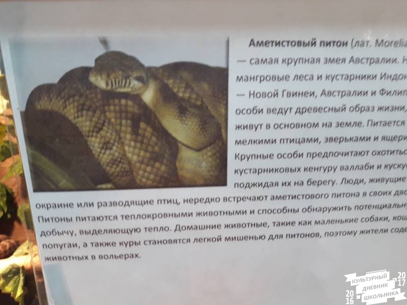 Выставка зоопарк "Живые тропики"60606