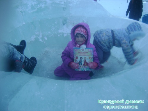 я и дневник17303