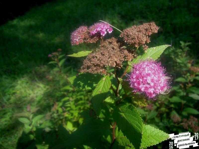 DSCN1641.JPG