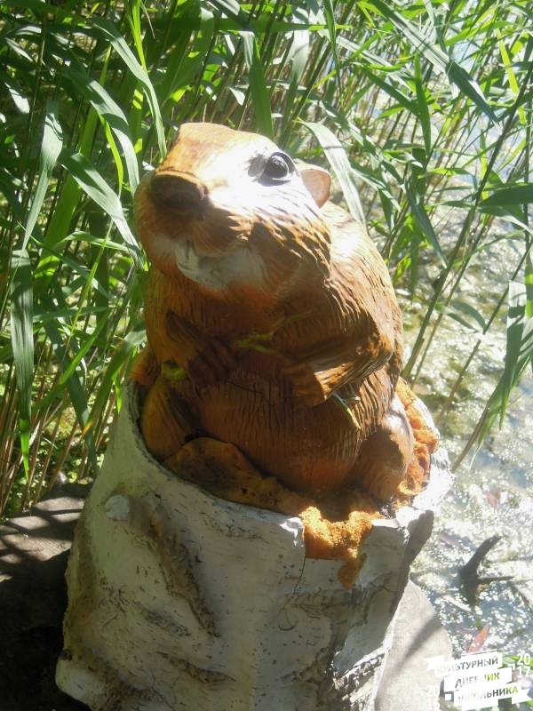 DSCN1551.JPG