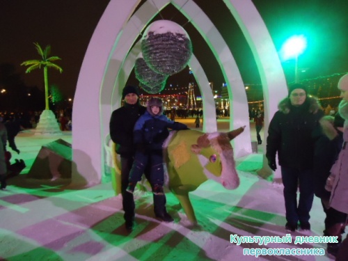 Новогодние каникулы в Набережных челнах17509