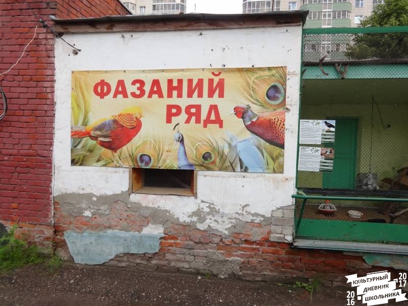 DSC05914.JPG
