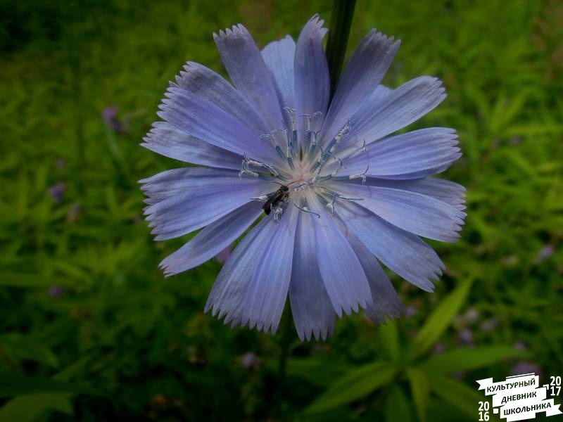 DSCN0576.JPG