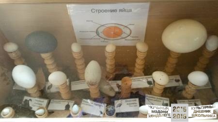 20160828_101648