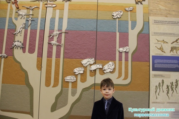 музей естественной истории Татарстана24750