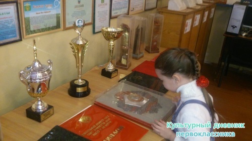 Актаныш районы Богады авылы җирлеге тарихы музеена сәяхәтем!!!8174