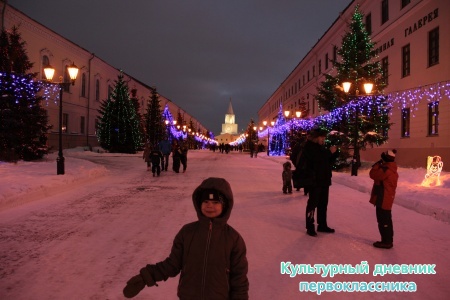 новогодний Кремль16391