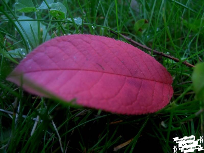 DSCN0354.JPG