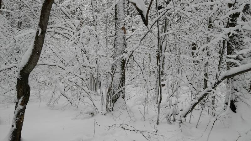 IMG_20171207_131546