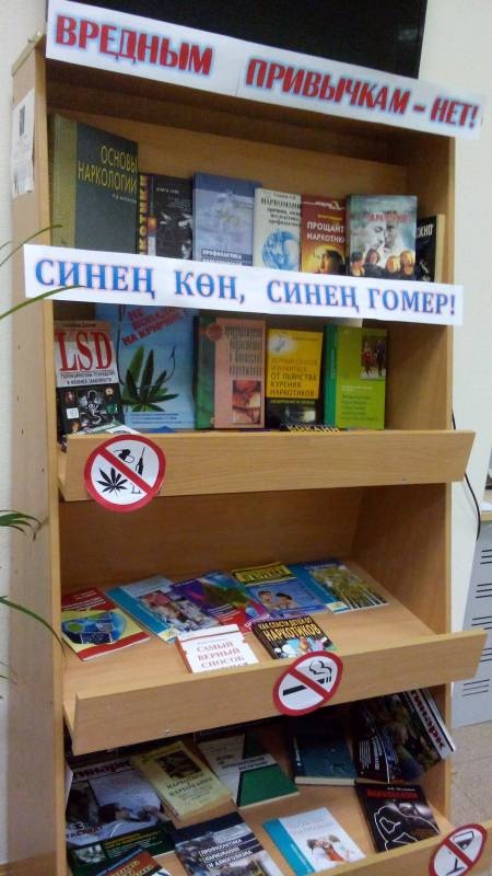 Библиотека Народов Поволжья. 16.10.2017г.86236