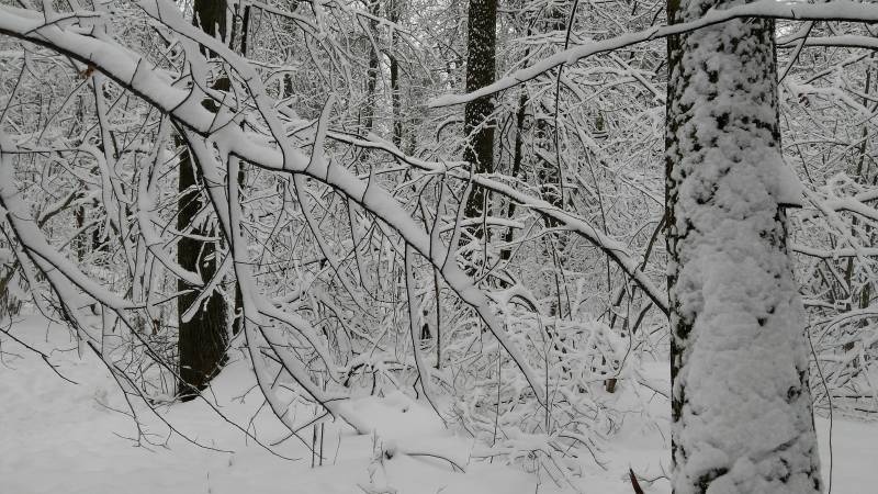 IMG_20171207_131550