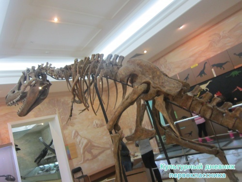 Мои путешествия11573