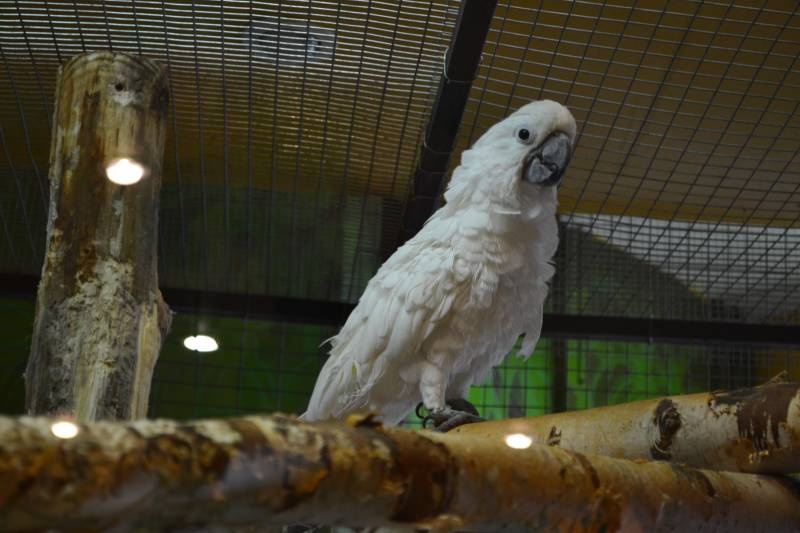 DSC_0581.JPG