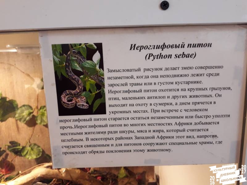 Выставка зоопарк "Живые тропики"60592