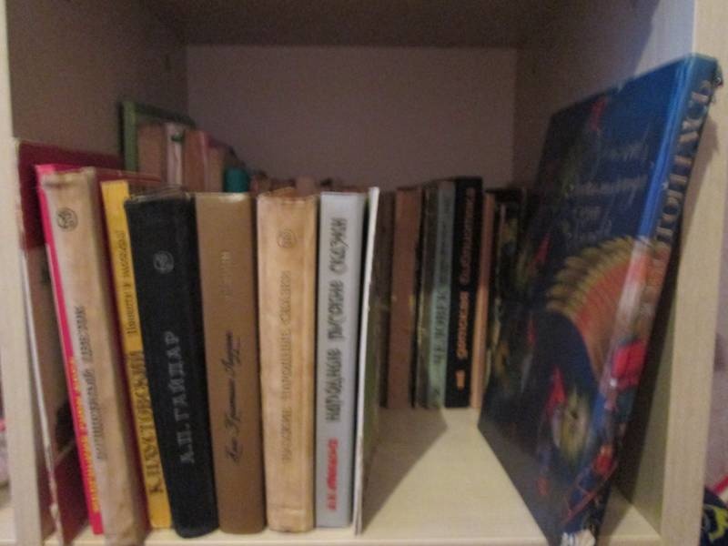 Моя книжная полка.100163