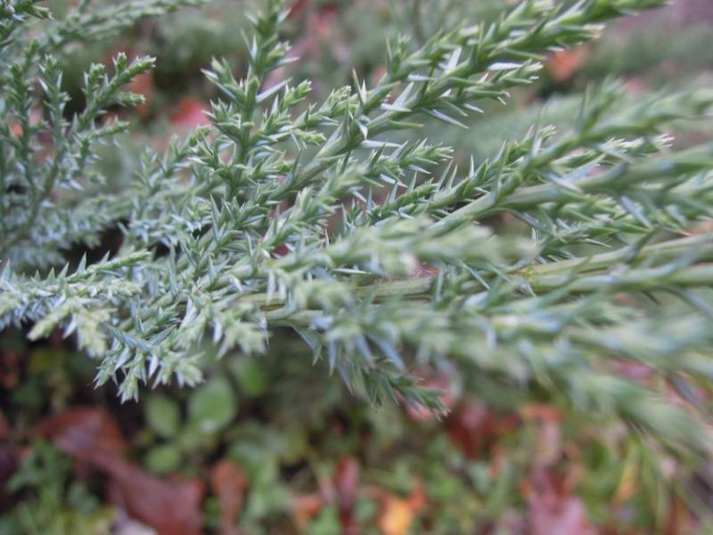DSCN5047.JPG