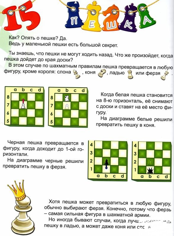 Урок 9 Пешка. Превращение пешки