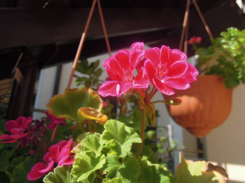 DSCN0582.JPG