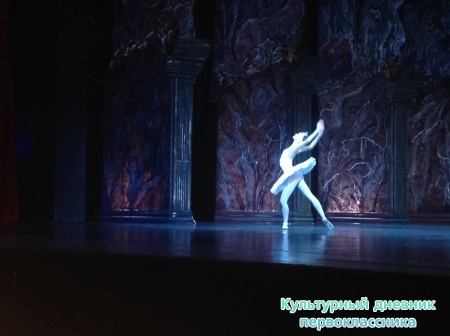 Балет25652
