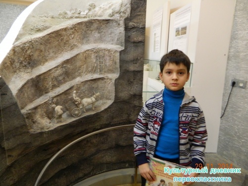 Музей естественной истории Татарстана