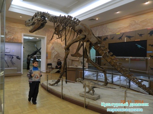 Музей естественной истории Татарстана