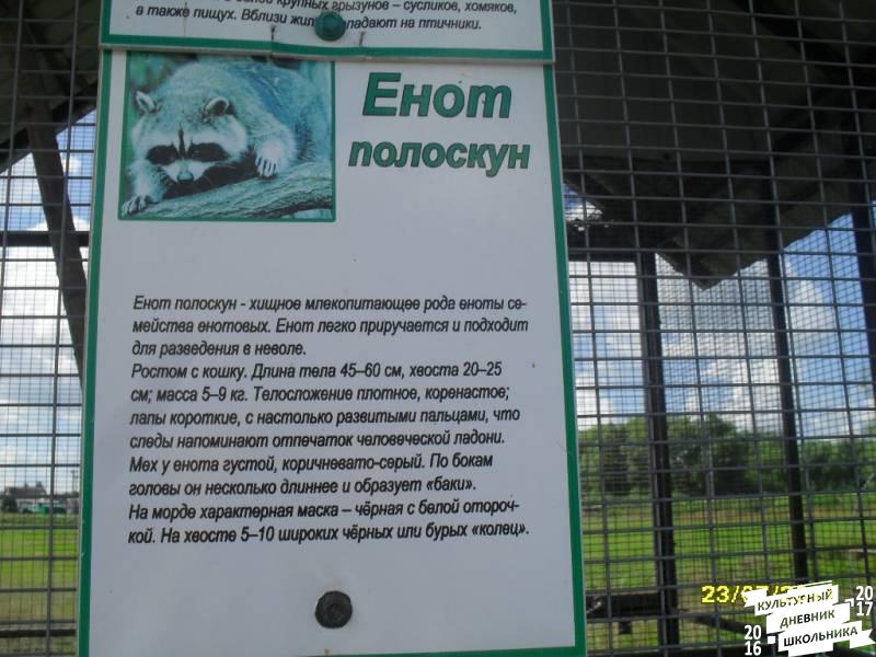 люблю лето82519