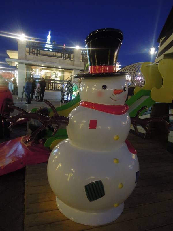 DSCN6705.JPG
