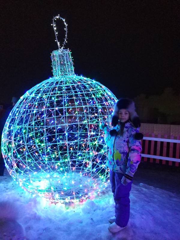 Мои новогодние каникулы133952
