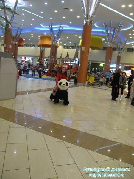 мои выходные23576