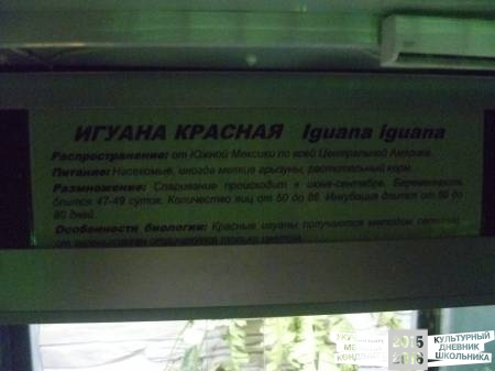 P1020775.JPG