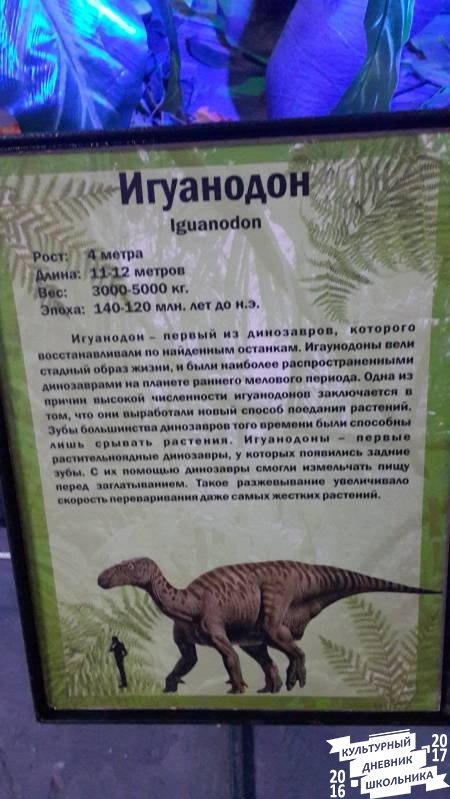 Мир динозавров. ТРЦ Италмас.63570