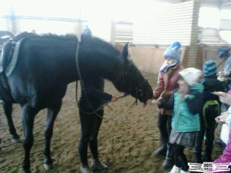 Camera HDR Studio - 1477045204557