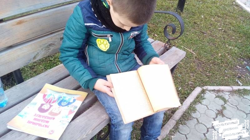 Уличные библиотеки Альметьевска. 31.10.17г.84615