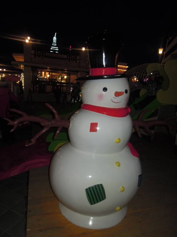 DSCN6704.JPG