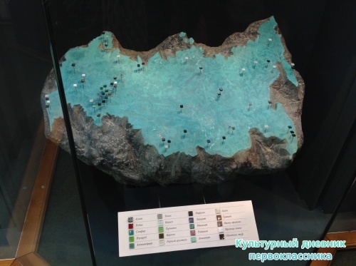 Музей естественной истории16822