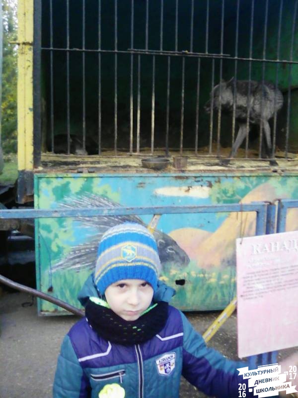 Передвижной зоопарк в Альметьевске.