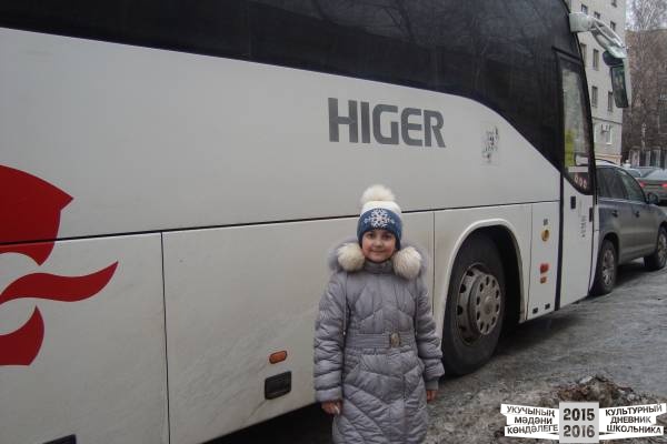 Президентская ёлочка.