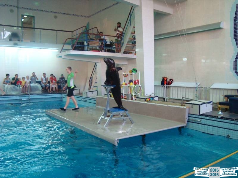 Мои летние путешествия!39621