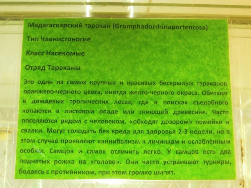DSCN4840.JPG